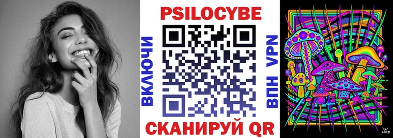Псилоцибиновые грибы Psilocybine cubensis  Купить  Кандалакша 